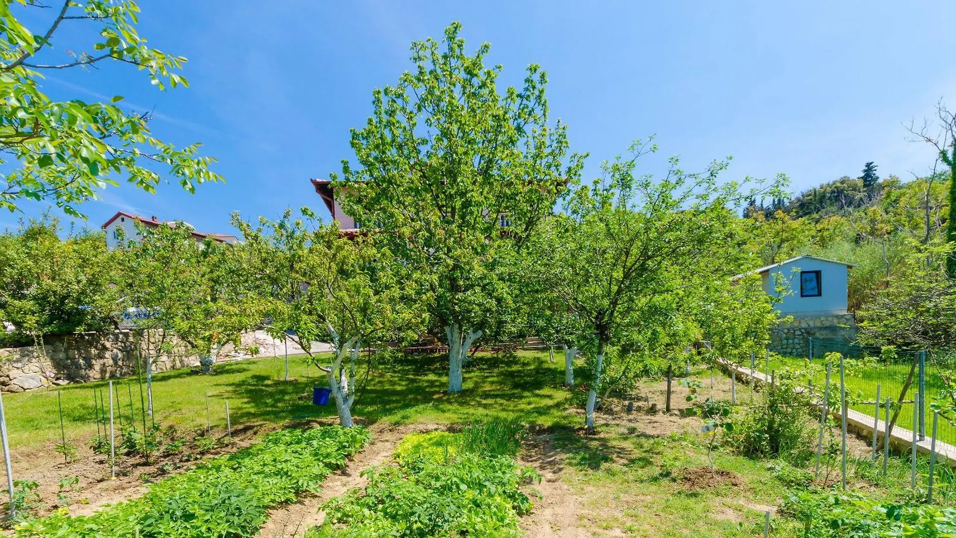 Apartments Grga - 300M To The Sea Lopar Croatia