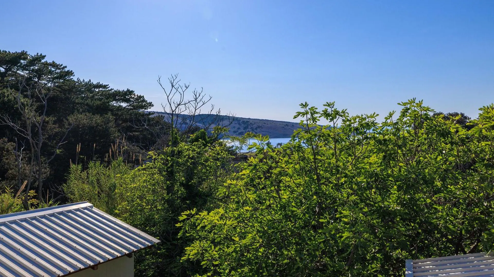Apartments Grga - 300M To The Sea Lopar Croatia